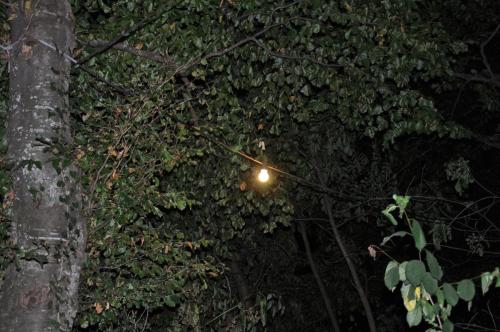 DSC 0655