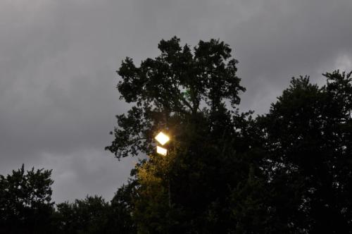 DSC 0651